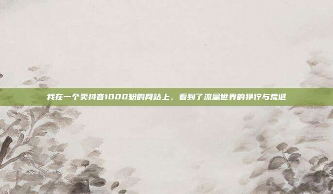 我在一个卖抖音1000粉的网站上,看到了流量世界的狰狞与荒诞