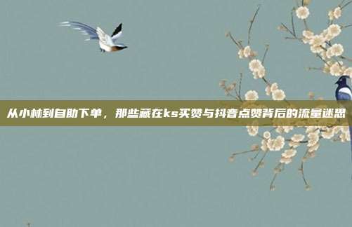 从小林到自助下单，那些藏在ks买赞与抖音点赞背后的流量迷思