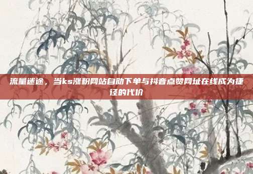 流量迷途，当ks涨粉网站自助下单与抖音点赞网址在线成为捷径的代价