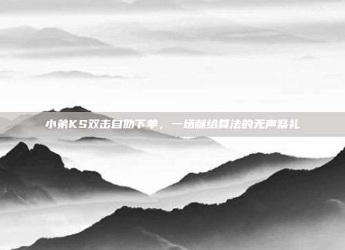 小弟KS双击自助下单，一场献给算法的无声祭礼