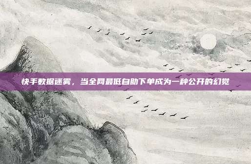 快手数据迷雾，当全网最低自助下单成为一种公开的幻觉