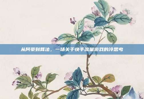 从阿豪到算法，一场关于快手流量游戏的冷思考