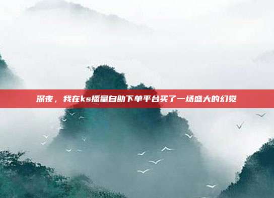深夜，我在ks播量自助下单平台买了一场盛大的幻觉