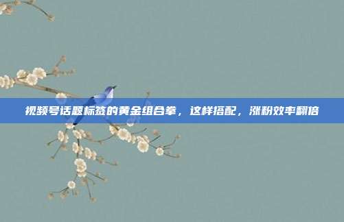 视频号话题标签的黄金组合拳，这样搭配，涨粉效率翻倍