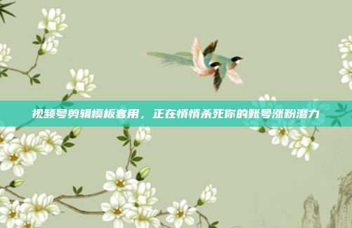 视频号剪辑模板套用，正在悄悄杀死你的账号涨粉潜力