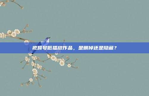视频号低播放作品，是删掉还是隐藏？