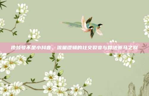 视频号不是小抖音，流量逻辑的社交裂变与算法赛马之别