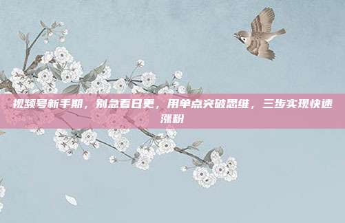 视频号新手期，别急着日更，用单点突破思维，三步实现快速涨粉