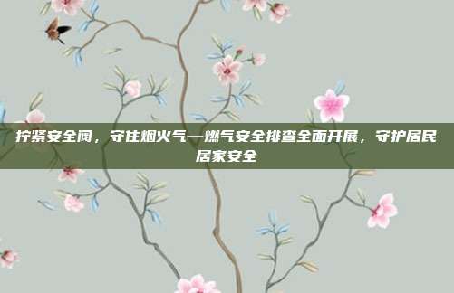 拧紧安全阀，守住烟火气—燃气安全排查全面开展，守护居民居家安全
