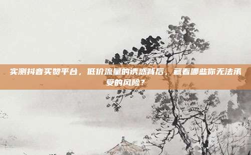 实测抖音买赞平台，低价流量的诱惑背后，藏着哪些你无法承受的风险？