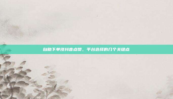 自助下单涨抖音点赞，平台选择的几个关键点