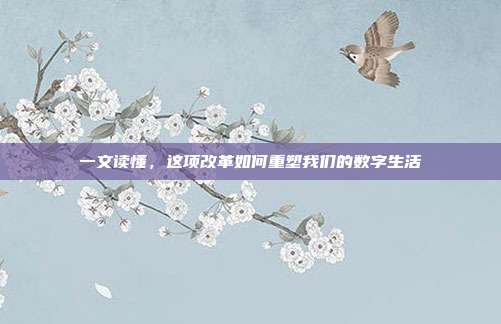 一文读懂，这项改革如何重塑我们的数字生活