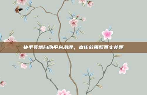 快手买赞自助平台测评，宣传效果和真实差距