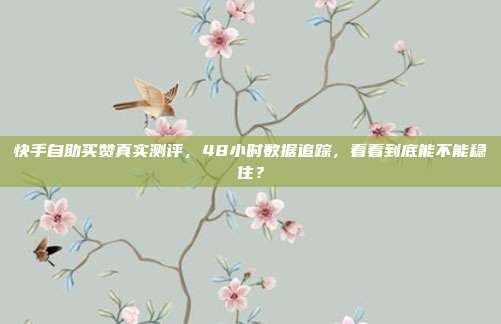 快手自助买赞真实测评，48小时数据追踪，看看到底能不能稳住？
