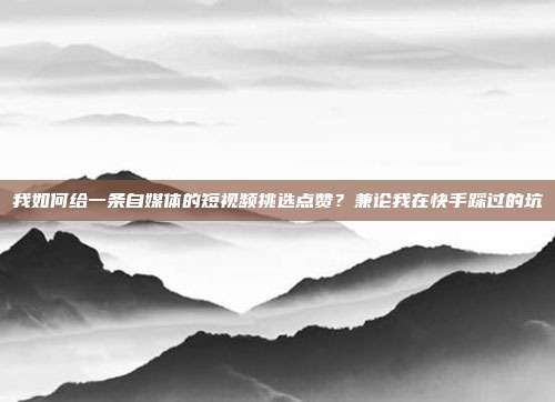 我如何给一条自媒体的短视频挑选点赞？兼论我在快手踩过的坑