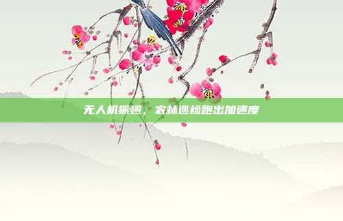 无人机振翅，农林巡检跑出加速度