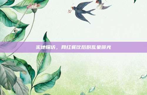 实地探访，网红餐饮后厨乱象曝光