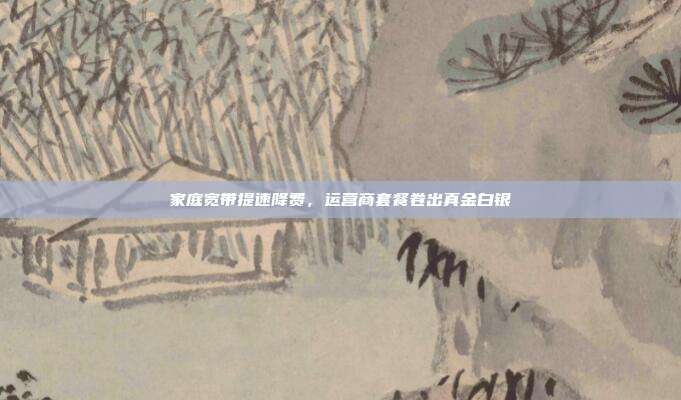 家庭宽带提速降费，运营商套餐卷出真金白银