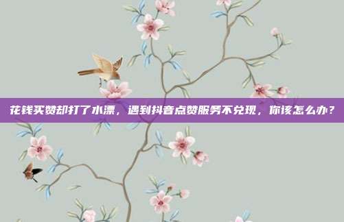 花钱买赞却打了水漂，遇到抖音点赞服务不兑现，你该怎么办？
