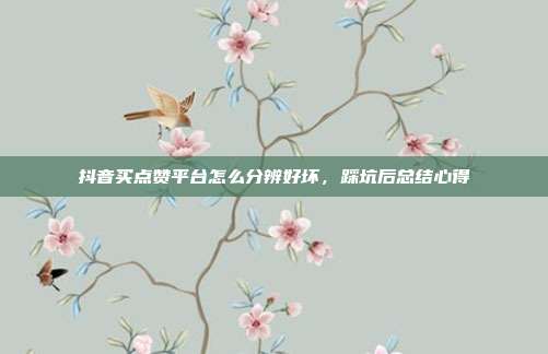 抖音买点赞平台怎么分辨好坏，踩坑后总结心得