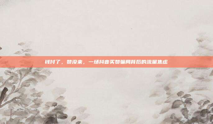 钱付了，赞没来，一场抖音买赞骗局背后的流量焦虑