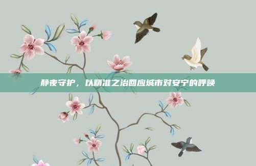 静夜守护，以精准之治回应城市对安宁的呼唤