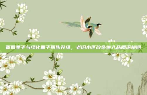 管网里子与绿化面子同步升级，老旧小区改造进入品质深耕期
