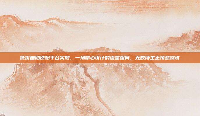 低价自助涨粉平台实测，一场精心设计的流量骗局，无数博主正悄然踩坑