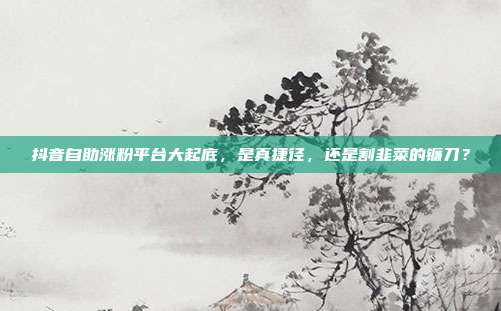 抖音自助涨粉平台大起底，是真捷径，还是割韭菜的镰刀？