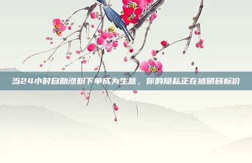 当24小时自助涨粉下单成为生意，你的隐私正在被明码标价