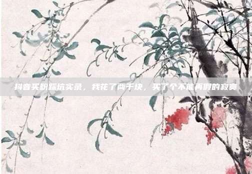 抖音买粉踩坑实录，我花了两千块，买了个不能再假的寂寞