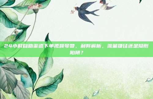 24小时自助渠道下单视频号赞，利弊解析，流量捷径还是隐形陷阱？