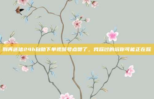 别再迷信24h自助下单视频号点赞了,我踩过的坑你可能正在踩