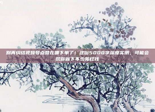 别再纠结视频号点赞在哪下单了！这份5000字深度实测，可能会帮你省下不少冤枉钱