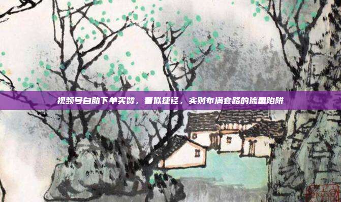 视频号自助下单买赞，看似捷径，实则布满套路的流量陷阱