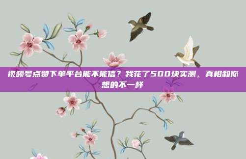 视频号点赞下单平台能不能信？我花了500块实测，真相和你想的不一样