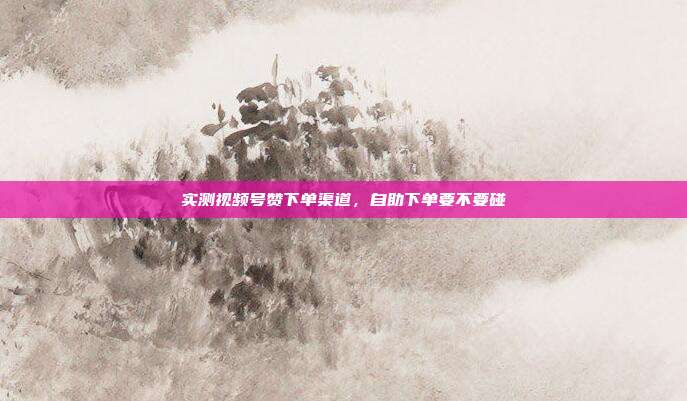 实测视频号赞下单渠道,自助下单要不要碰