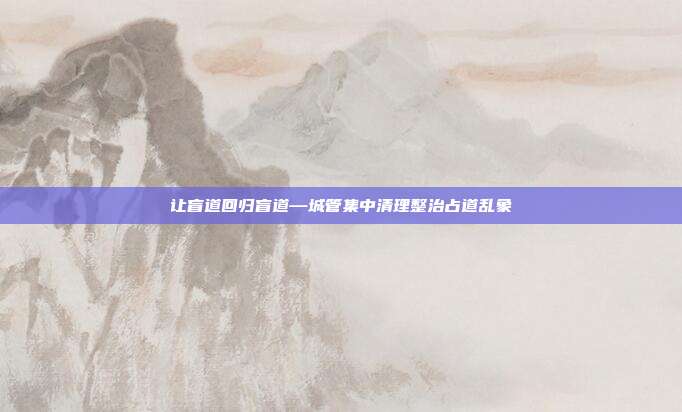 让盲道回归盲道—城管集中清理整治占道乱象
