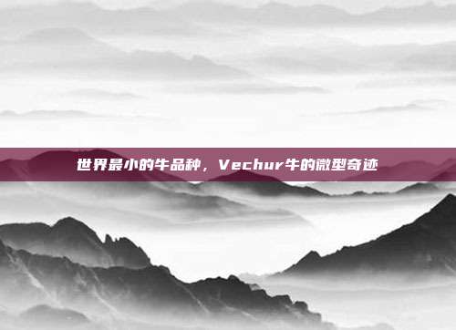 世界最小的牛品种，Vechur牛的微型奇迹