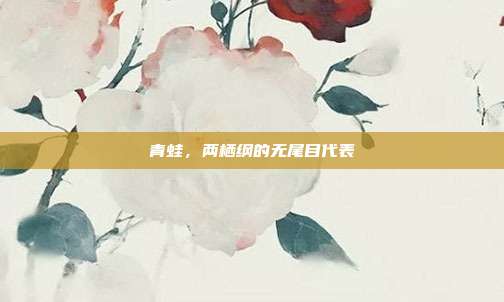 青蛙，两栖纲的无尾目代表