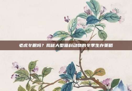 老虎冬眠吗？揭秘大型猫科动物的冬季生存策略
