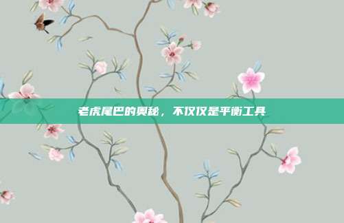 老虎尾巴的奥秘，不仅仅是平衡工具