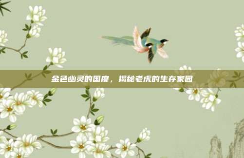 金色幽灵的国度，揭秘老虎的生存家园