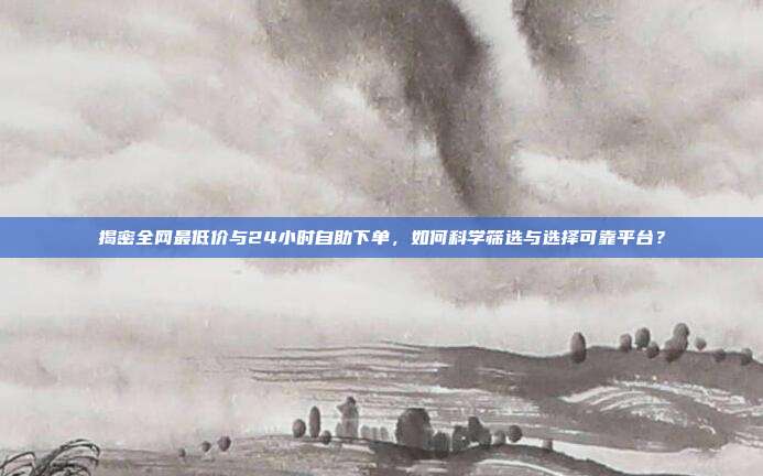 揭密全网最低价与24小时自助下单，如何科学筛选与选择可靠平台？