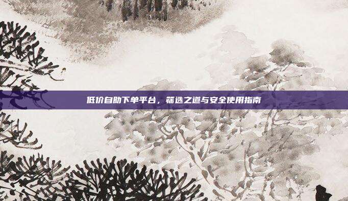低价自助下单平台，筛选之道与安全使用指南
