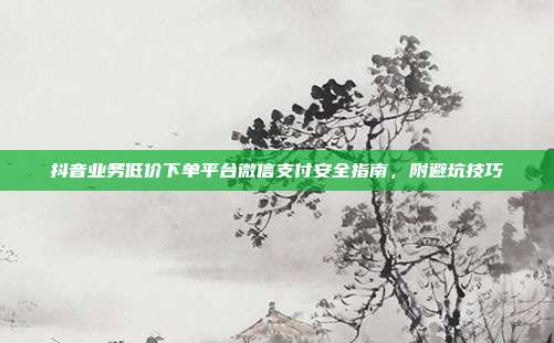 抖音业务低价下单平台微信支付安全指南，附避坑技巧