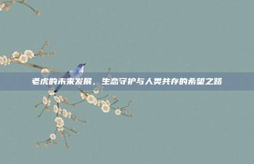 老虎的未来发展，生态守护与人类共存的希望之路