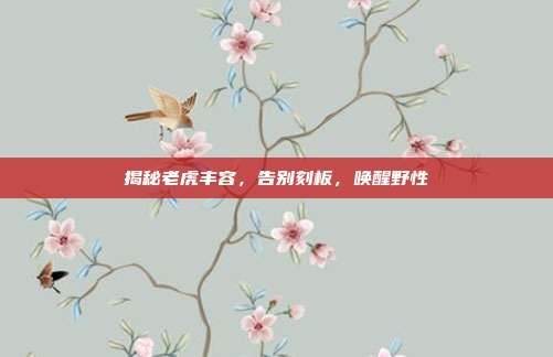 揭秘老虎丰容，告别刻板，唤醒野性