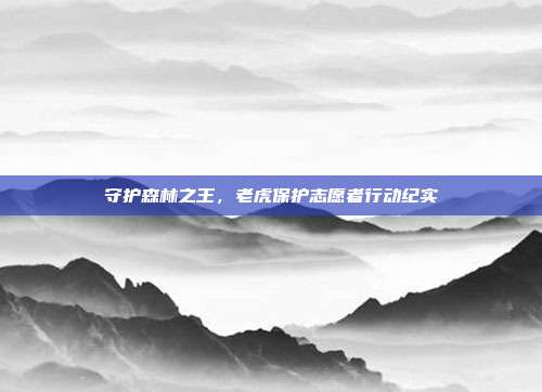 守护森林之王，老虎保护志愿者行动纪实