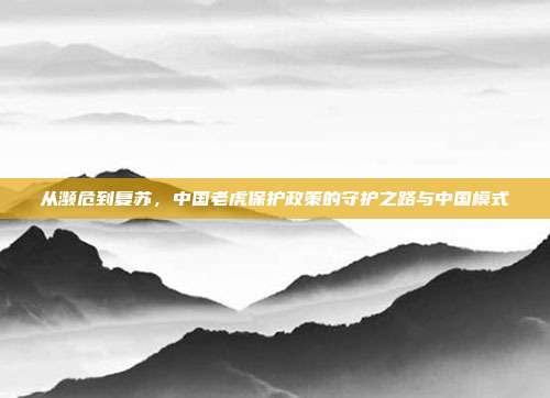 从濒危到复苏，中国老虎保护政策的守护之路与中国模式